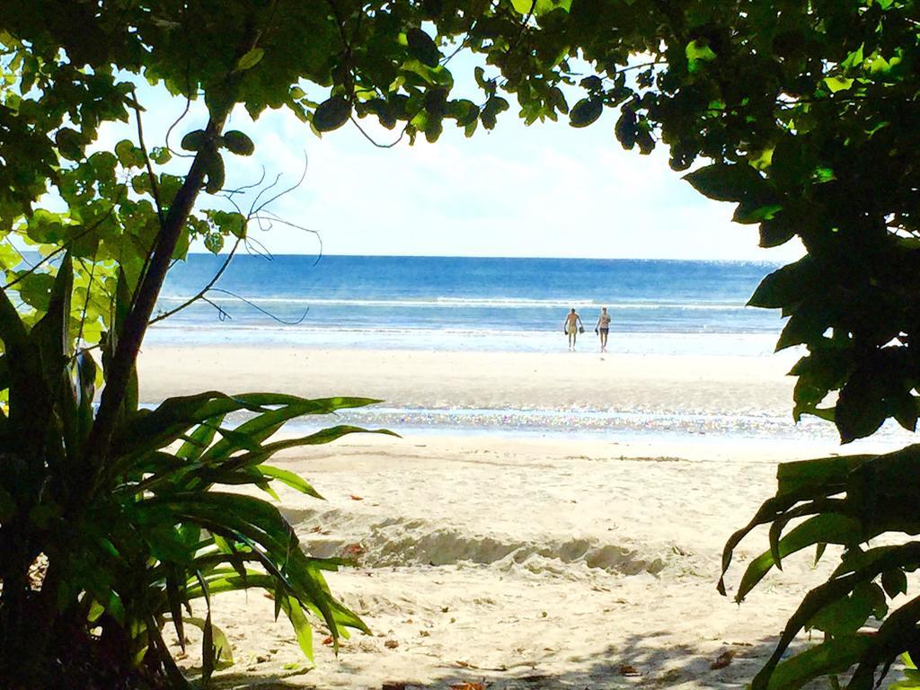 Cape Tribulation Holiday House ภายนอก รูปภาพ
