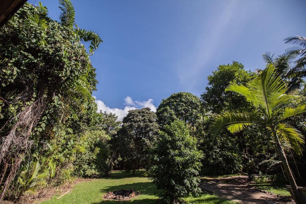 Cape Tribulation Holiday House ภายนอก รูปภาพ