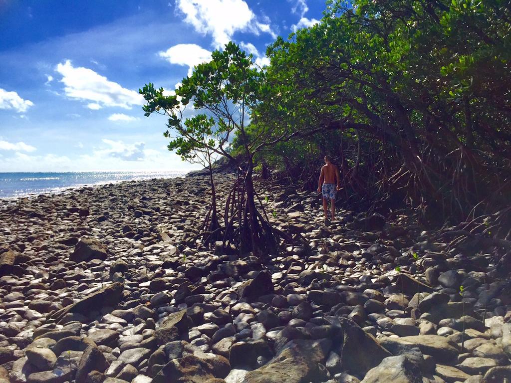 Cape Tribulation Holiday House ภายนอก รูปภาพ