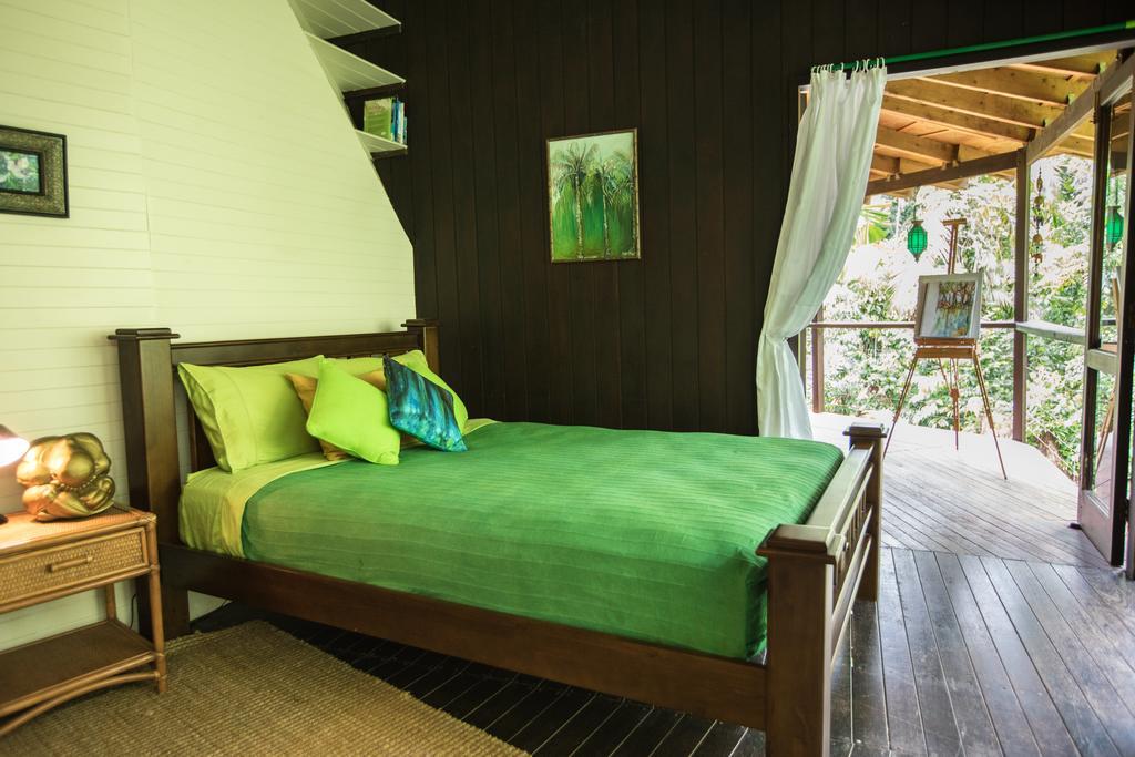 Cape Tribulation Holiday House ภายนอก รูปภาพ